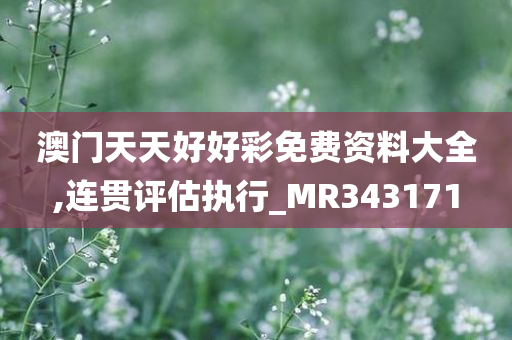 澳门天天好好彩免费资料大全,连贯评估执行_MR343171