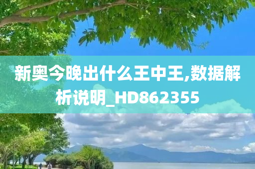 新奥今晚出什么王中王,数据解析说明_HD862355