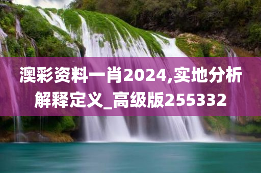 澳彩资料一肖2024,实地分析解释定义_高级版255332