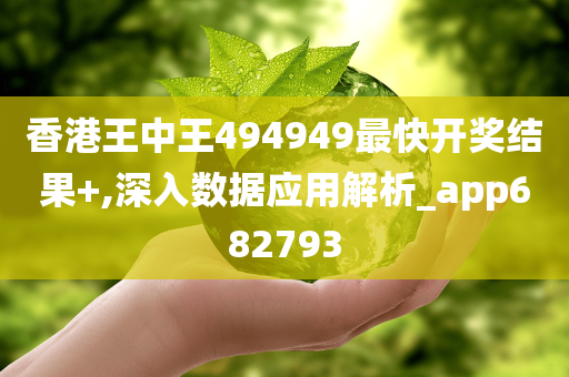 香港王中王494949最快开奖结果+,深入数据应用解析_app682793