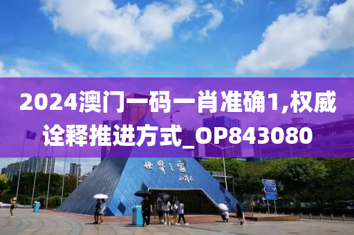 2024澳门一码一肖准确1,权威诠释推进方式_OP843080