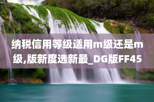 纳税信用等级适用m级还是m级,版新度选新最_DG版FF45