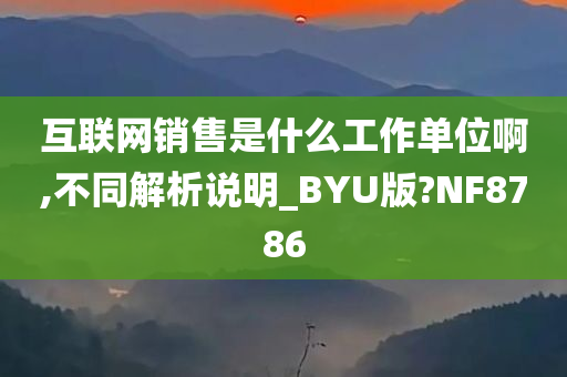 互联网销售是什么工作单位啊,不同解析说明_BYU版?NF8786