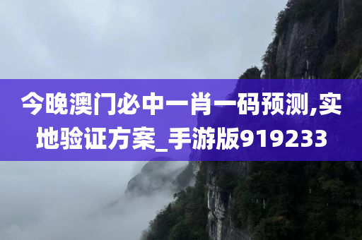 今晚澳门必中一肖一码预测,实地验证方案_手游版919233