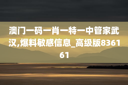 澳门一码一肖一特一中管家武汉,爆料敏感信息_高级版836161