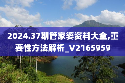 2024.37期管家婆资料大全,重要性方法解析_V2165959