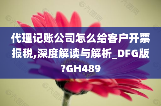 代理记账公司怎么给客户开票报税,深度解读与解析_DFG版?GH489