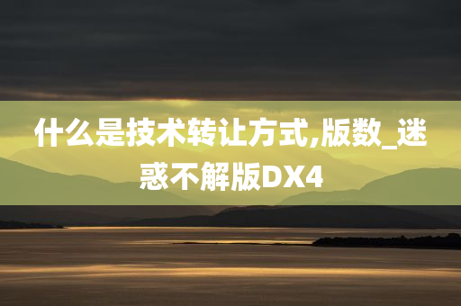 什么是技术转让方式,版数_迷惑不解版DX4