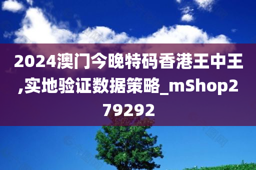 2024澳门今晚特码香港王中王,实地验证数据策略_mShop279292