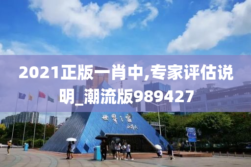 2021正版一肖中,专家评估说明_潮流版989427