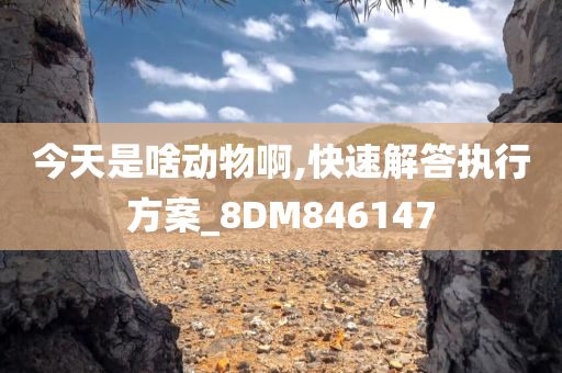 今天是啥动物啊,快速解答执行方案_8DM846147