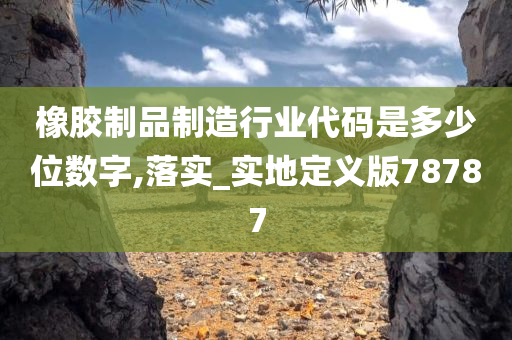 橡胶制品制造行业代码是多少位数字,落实_实地定义版78787