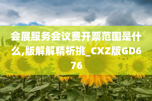 会展服务会议费开票范围是什么,版解解精析挑_CXZ版GD676