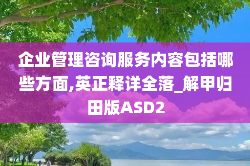 企业管理咨询服务内容包括哪些方面,英正释详全落_解甲归田版ASD2