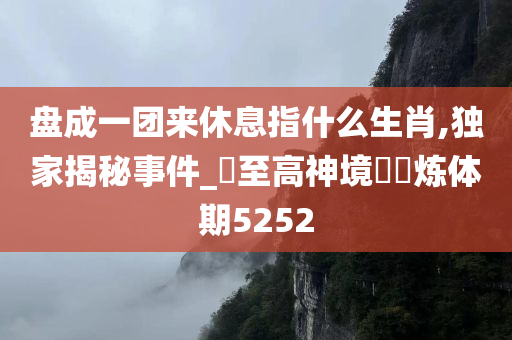 盘成一团来休息指什么生肖,独家揭秘事件_‌至高神境‌‌炼体期5252