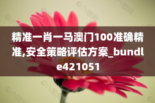 精准一肖一马澳门100准确精准,安全策略评估方案_bundle421051