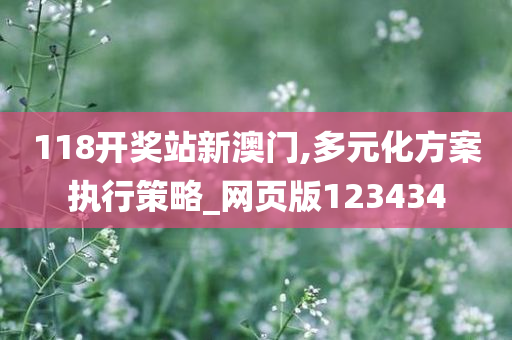 118开奖站新澳门,多元化方案执行策略_网页版123434