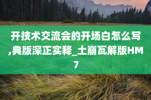 开技术交流会的开场白怎么写,典版深正实释_土崩瓦解版HM7