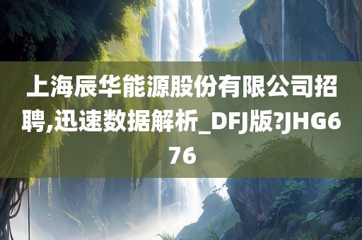 上海辰华能源股份有限公司招聘,迅速数据解析_DFJ版?JHG676