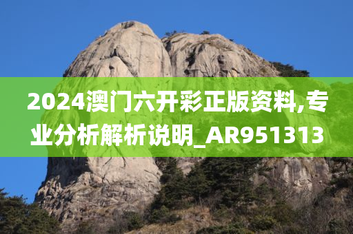 2024澳门六开彩正版资料,专业分析解析说明_AR951313