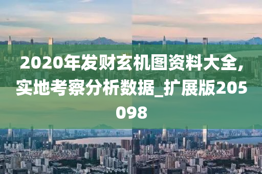 2020年发财玄机图资料大全,实地考察分析数据_扩展版205098