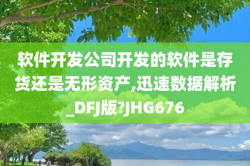 软件开发公司开发的软件是存货还是无形资产,迅速数据解析_DFJ版?JHG676