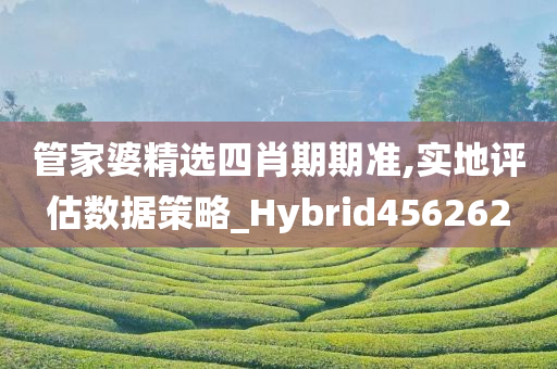 管家婆精选四肖期期准,实地评估数据策略_Hybrid456262