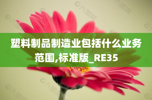 塑料制品制造业包括什么业务范围,标准版_RE35