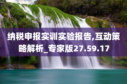 纳税申报实训实验报告,互动策略解析_专家版27.59.17