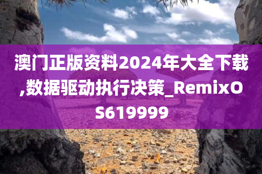 澳门正版资料2024年大全下载,数据驱动执行决策_RemixOS619999