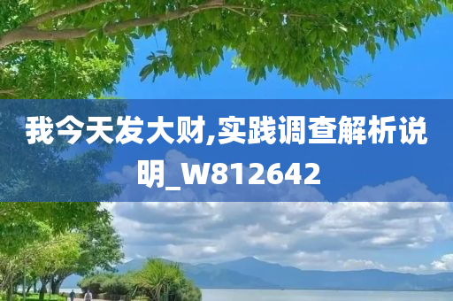 我今天发大财,实践调查解析说明_W812642