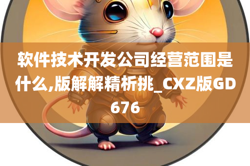 软件技术开发公司经营范围是什么,版解解精析挑_CXZ版GD676