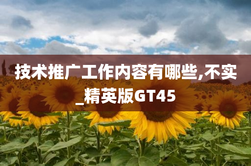 技术推广工作内容有哪些,不实_精英版GT45