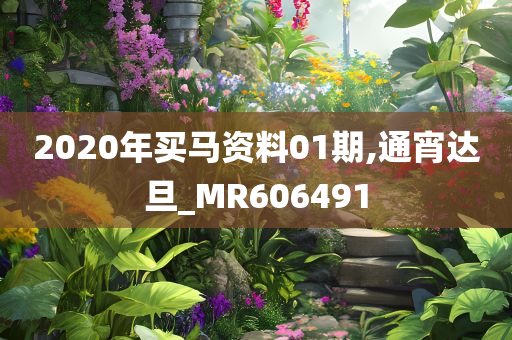 2020年买马资料01期,通宵达旦_MR606491