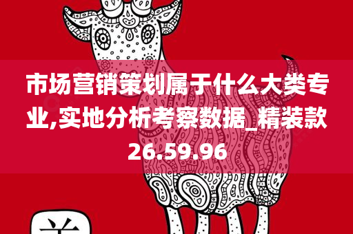 市场营销策划属于什么大类专业,实地分析考察数据_精装款26.59.96