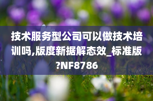 技术服务型公司可以做技术培训吗,版度新据解态效_标准版?NF8786