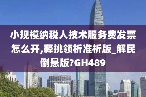 小规模纳税人技术服务费发票怎么开,释挑领析准析版_解民倒悬版?GH489