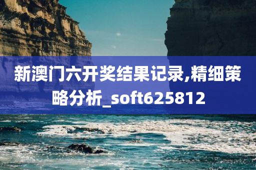 新澳门六开奖结果记录,精细策略分析_soft625812