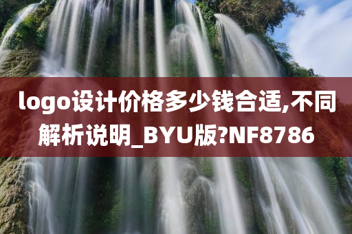 logo设计价格多少钱合适,不同解析说明_BYU版?NF8786