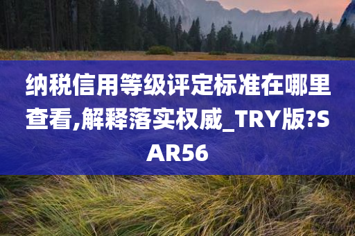 纳税信用等级评定标准在哪里查看,解释落实权威_TRY版?SAR56