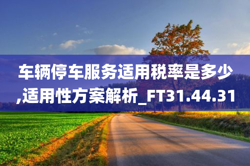 车辆停车服务适用税率是多少,适用性方案解析_FT31.44.31