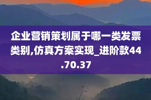 企业营销策划属于哪一类发票类别,仿真方案实现_进阶款44.70.37