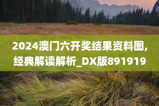 2024澳门六开奖结果资料图,经典解读解析_DX版891919