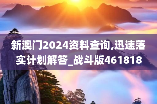 新澳门2024资料查询,迅速落实计划解答_战斗版461818