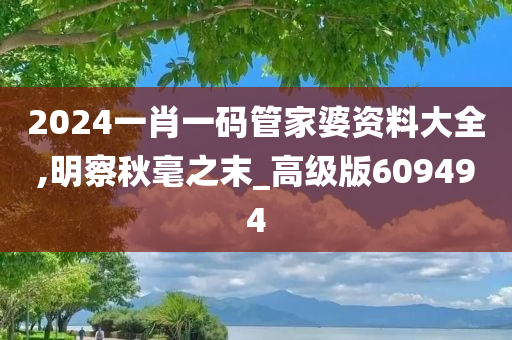 2024一肖一码管家婆资料大全,明察秋毫之末_高级版609494