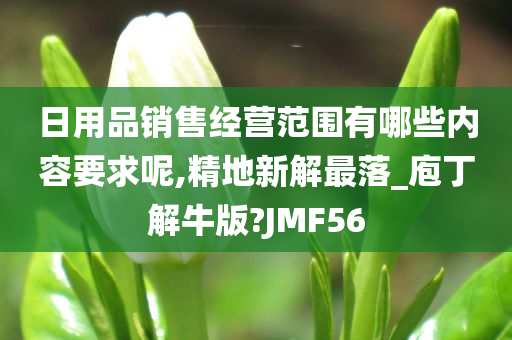 日用品销售经营范围有哪些内容要求呢,精地新解最落_庖丁解牛版?JMF56