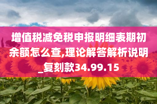 增值税减免税申报明细表期初余额怎么查,理论解答解析说明_复刻款34.99.15