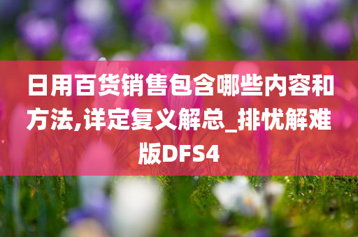 日用百货销售包含哪些内容和方法,详定复义解总_排忧解难版DFS4