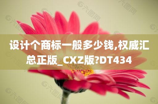 设计个商标一般多少钱,权威汇总正版_CXZ版?DT434