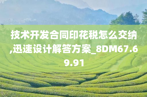 技术开发合同印花税怎么交纳,迅速设计解答方案_8DM67.69.91